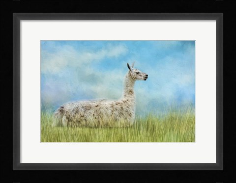 Framed Just Chillin Print