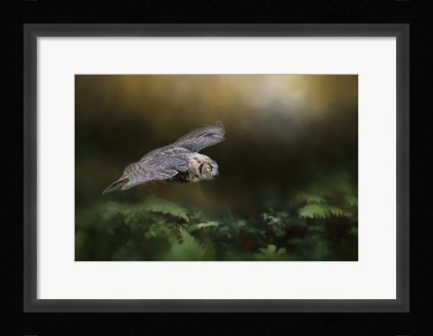 Framed Night With The Great Horned Owl 1 Print