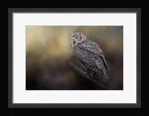 Framed Night With The Great Horned Owl 2 Print