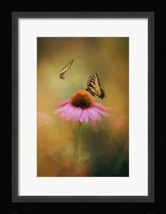Framed Butterflies At Play Print