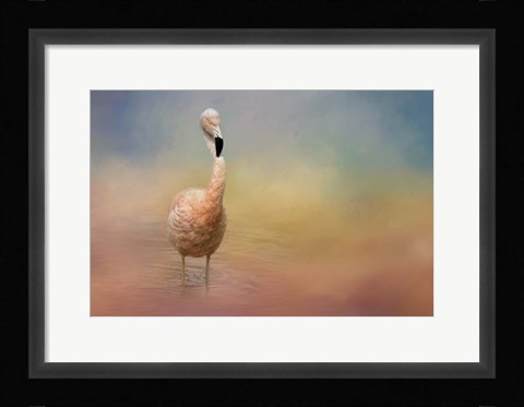 Framed Flamingo Friday Print