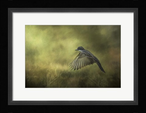 Framed Hovering Print