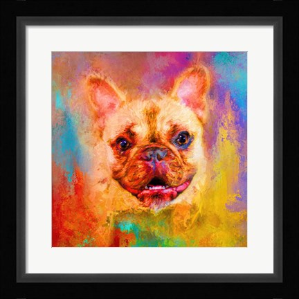 Framed Jazzy French Bulldog Print