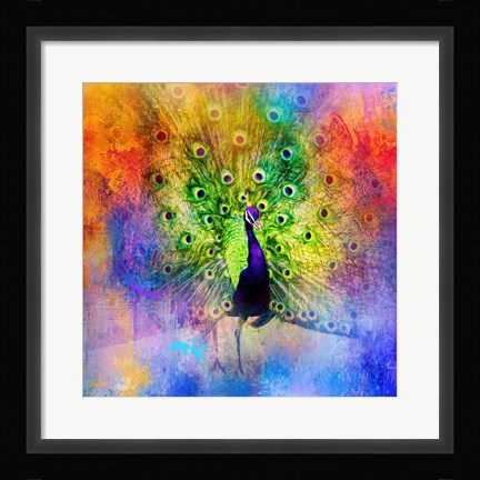 Framed Jazzy Peacock Print