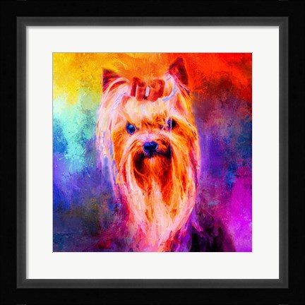 Framed Jazzy Yorkshire Terrier Print