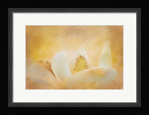 Framed Late Magnolia 2 Print