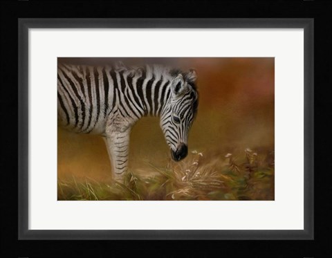 Framed New Life 1 Print