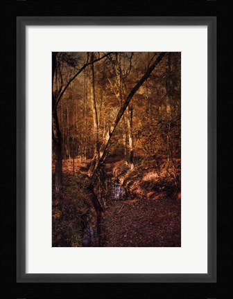 Framed Shiloh Creek 2 Print