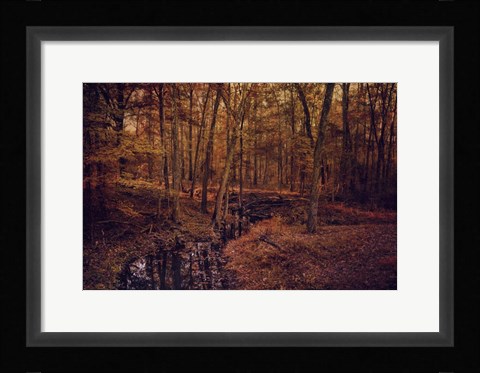 Framed Shiloh Creek 4 Print