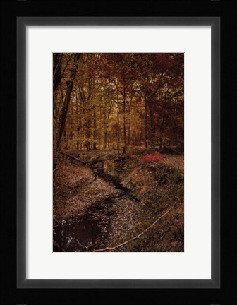 Framed Shiloh Creek 5 Print