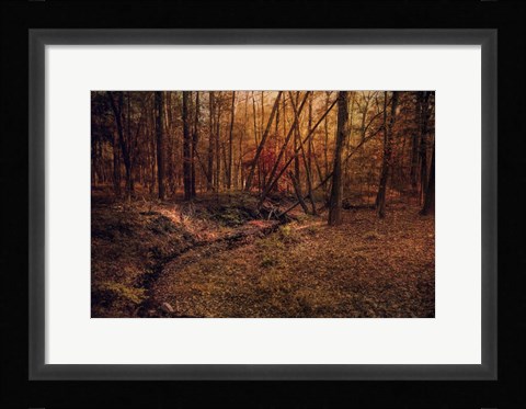 Framed Shiloh Creek 6 Print