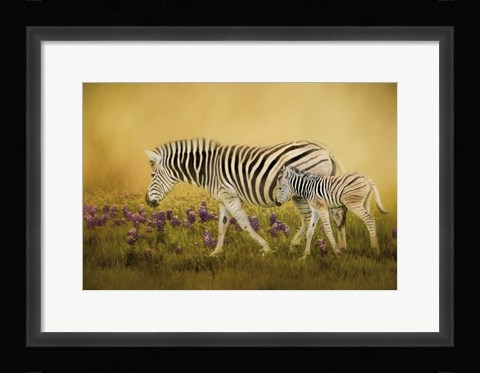 Framed Through The Meadow Print