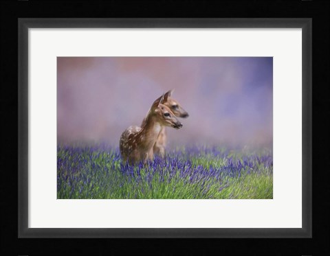 Framed Twin Fawns In The Lavender Print