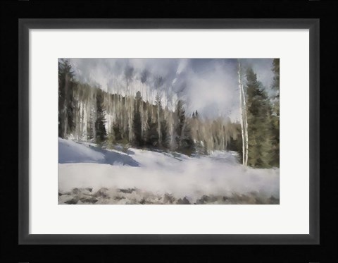 Framed Winter Impressions In Colorado 9 Print