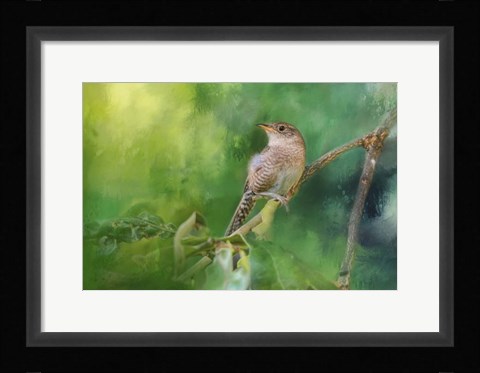 Framed Wren In The Garden Print