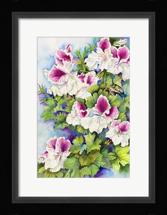 Framed Regal Geranium Print