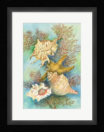 Framed Shells in the Deep Green Sea Print