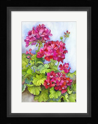 Framed Bold Blue Sky Bright Geraniums Print