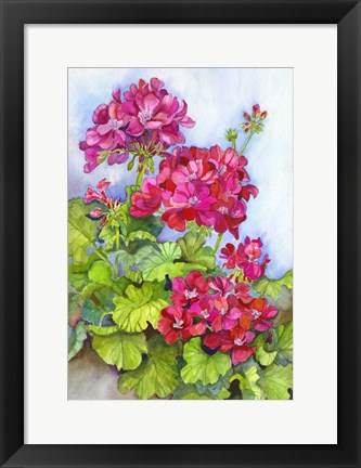 Framed Bold Blue Sky Bright Geraniums Print