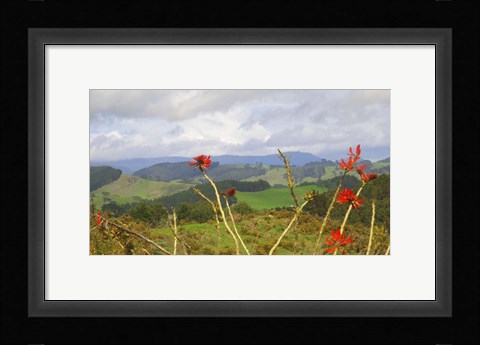 Framed New Zealand 5 Print
