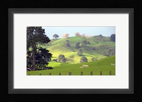Framed New Zealand 6 Print