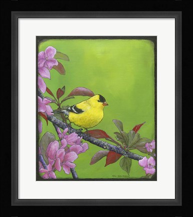 Framed Goldfinch Print