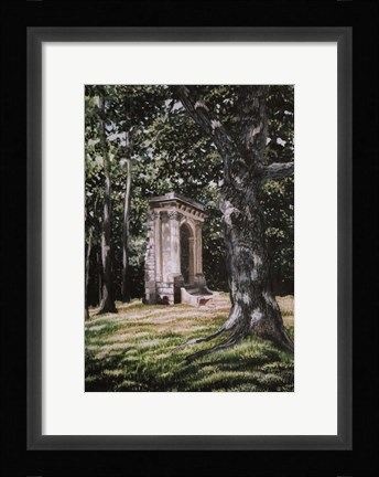 Framed Remnants From The Past Print