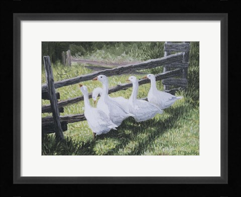 Framed Summer Sunlight Print