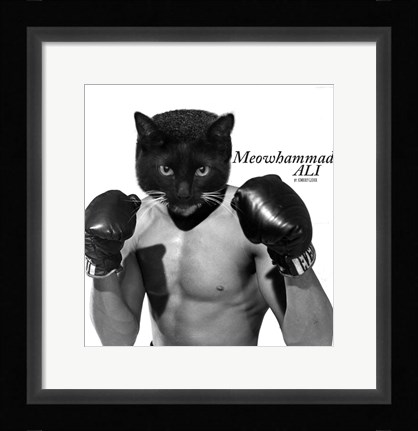 Framed Meowhammad Ali Print