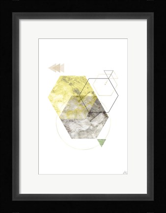 Framed Polys Gone Print