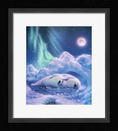 Framed Harmony Baby Seals Print