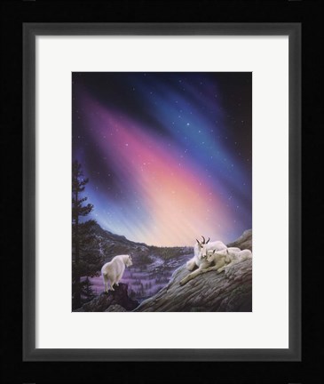 Framed Peaceful Night Print