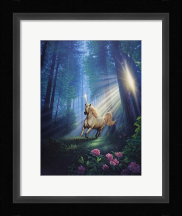 Framed Secret Forest Print