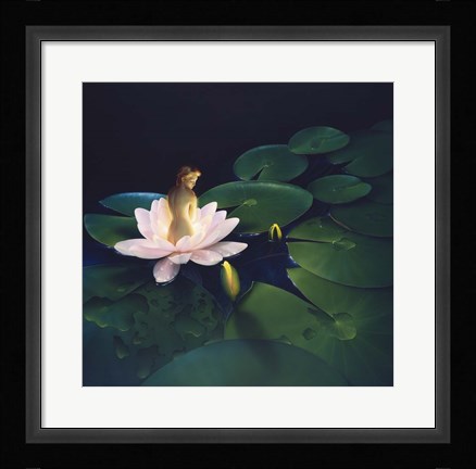 Framed Waterlilies Print