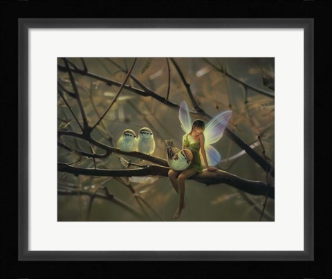Framed Feathered Friends - C Print