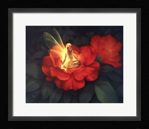 Framed Night  Light - C Print