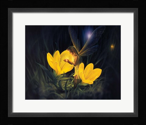 Framed Night Harvest - C Print