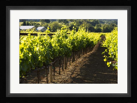 Framed Let's Go Make Merlot Print