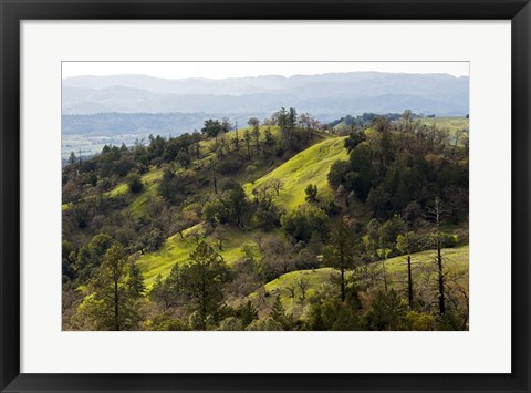 Framed Over the Hill Print