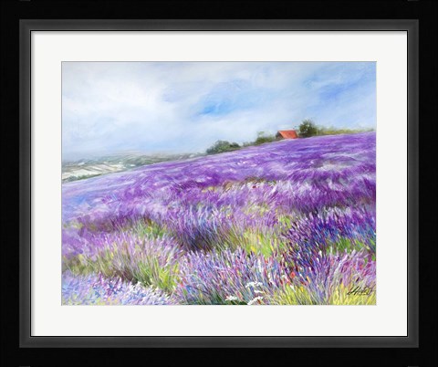 Framed Lavender I Print
