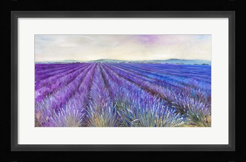 Framed Lavender VI Print