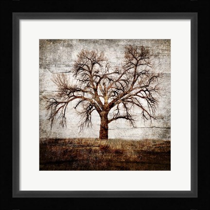 Framed Cottonwood Tree Part 1 Print