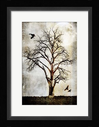 Framed Cottonwood Tree Part 2 Print
