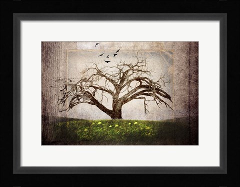 Framed Cottonwood Tree Part 3 Print