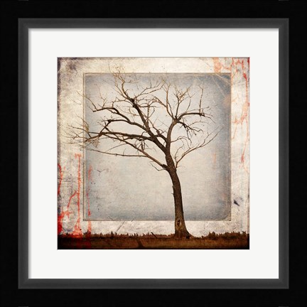 Framed Cottonwood Tree Part 5 Print