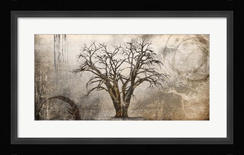 Framed Cottonwood Tree Part 7 Print