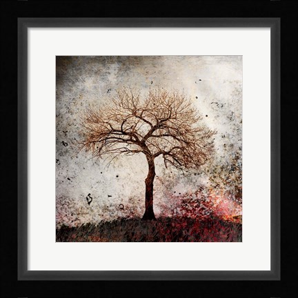 Framed Cottonwood Tree Part 9 Print