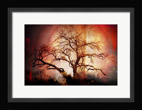 Framed Cottonwood Tree Part 10 Print