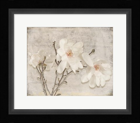 Framed Spring Magnolia Print