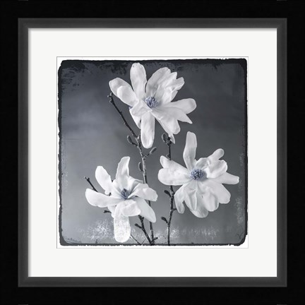 Framed Blue Magnolia 2 Print